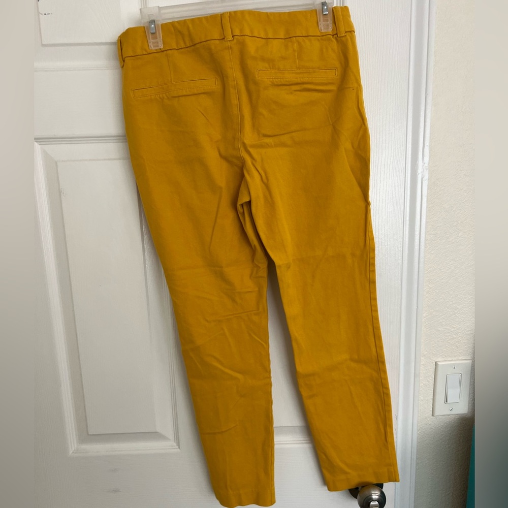 Mustard Pixie Dress Pants